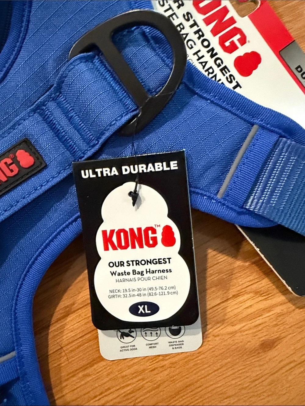 Kong branded dog